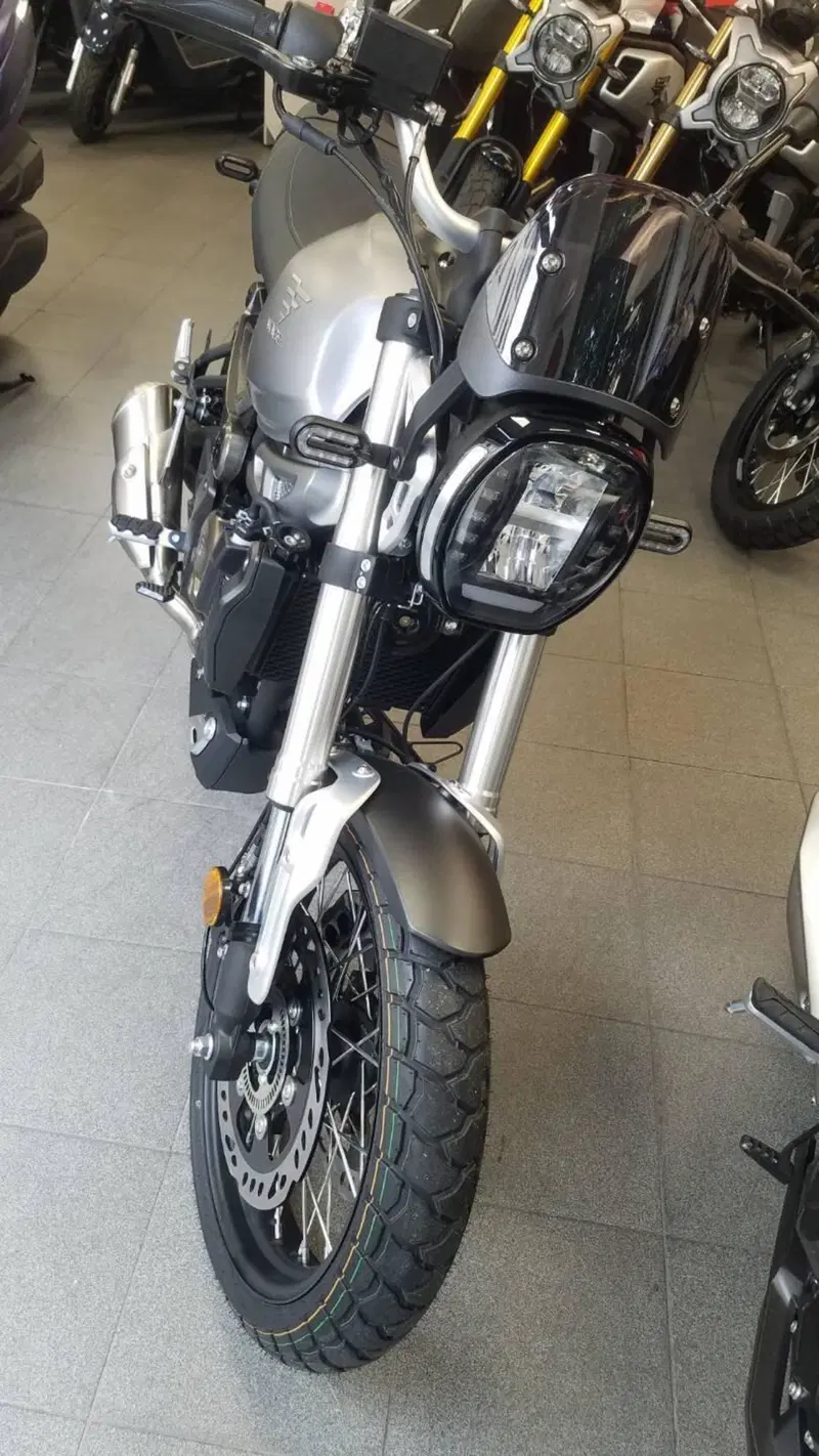 Voge Trofeo 300ACX Scrambler (2021 - 26) (2)