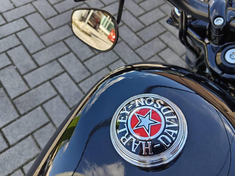 Harley-Davidson 1200 Forty-Eight Special (2018 - 20) (5)