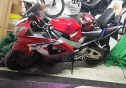 Honda CBR 900 RR Fireblade (2000 - 01) usata