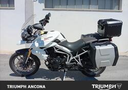 Triumph Tiger 800 (2010 - 14) usata