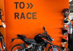 KTM 125 Duke (2024 - 25) nuova