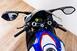 Bmw S 1000 RR (2009 - 12) (11)