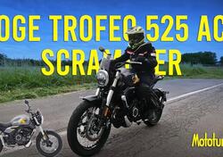 Voge Trofeo 525ACX Scrambler (2023 - 25) nuova
