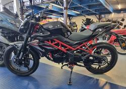 Benelli BN 125 (2021 - 25) usata