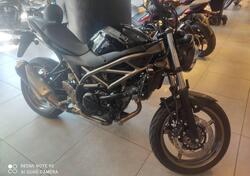 Suzuki SV650 (2021 - 24) usata