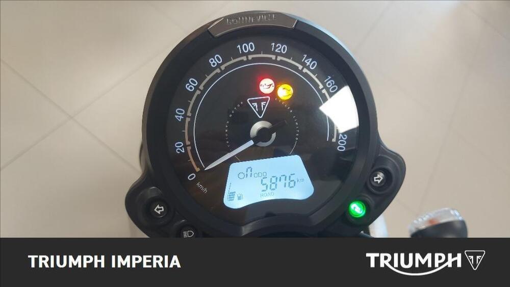 Triumph Speed Twin 900 (2023 - 24) (4)