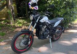 Betamotor Alp X (2024 - 25) usata