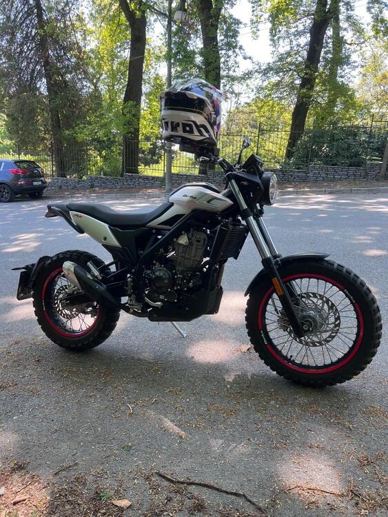 Betamotor Alp X (2024 - 25) (3)