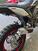 Betamotor Alp X (2024 - 25) (12)