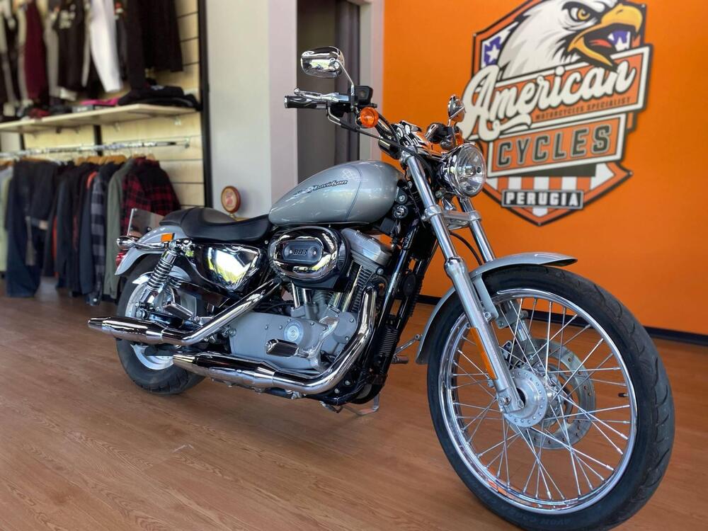 Harley-Davidson 883 Custom (2006 - 07) - XL 883C (3)