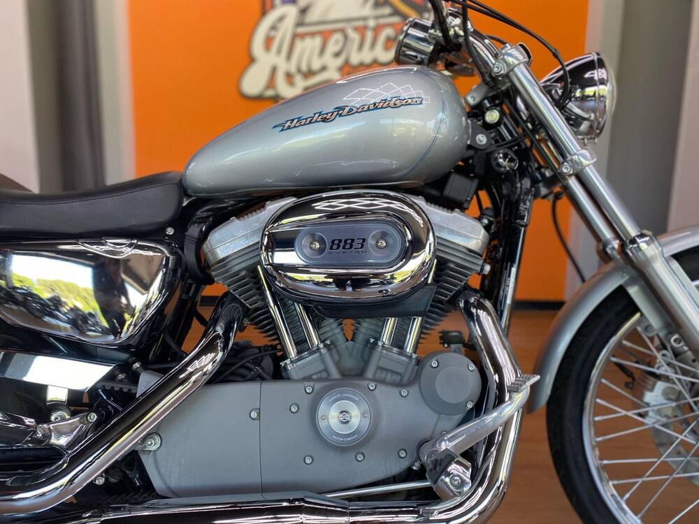 Harley-Davidson 883 Custom (2006 - 07) - XL 883C (4)