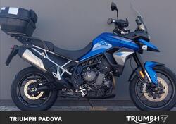 Triumph Tiger 900 GT Pro (2020 - 23) usata
