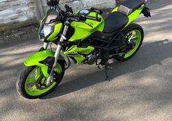 Benelli BN 125 (2021 - 25) usata