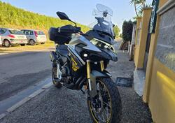 Voge Valico 525DSX (2023 - 25) usata