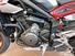 Triumph Street Triple R (2017 - 20) (12)