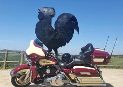 Harley-Davidson 1584 Electra Glide Ultra Classic (2007) - FLHTCU usata