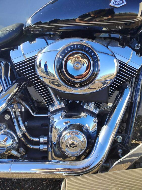 Harley-Davidson 1690 Fat Boy Special (2010 - 17) - FLSTF (3)