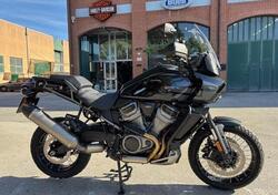 Harley-Davidson Pan America 1250 Special (2020 - 25) usata