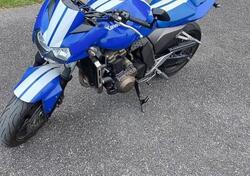 Kawasaki Z 750 (2003 - 06) usata