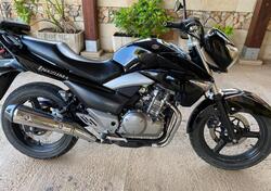 Suzuki Inazuma 250 F (2015 - 16) usata