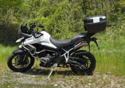 Triumph Tiger 900 GT Pro (2020 - 23) usata