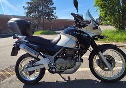 Kawasaki KLE 500 (2001 - 04) usata