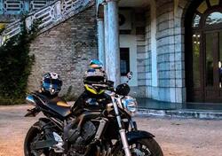 Yamaha FZ6 (2004 - 07) usata