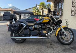 Triumph Bonneville 800 (2002 - 07) usata