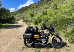 Triumph Bonneville T100 (2017 - 20) usata