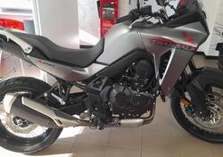 Honda Transalp XL750 (2023 - 24) usata