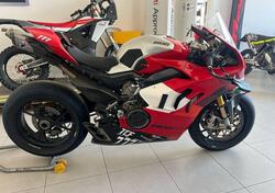 Ducati Panigale V4 R 1000 (2019 - 20) usata