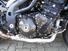 Triumph Speed Triple 1050 (2005 - 11) (14)