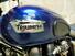 Triumph Scrambler (2006 - 17) (6)