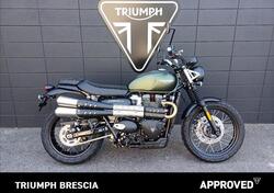Triumph Scrambler 900 (2023 - 25) usata