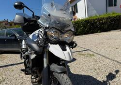 Triumph Tiger 800 XC (2011 - 12) usata
