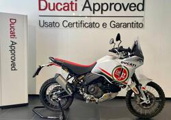 Ducati DesertX (2022 - 25) usata
