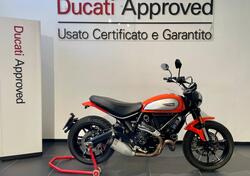 Ducati Scrambler 800 Icon (2017 - 20) usata
