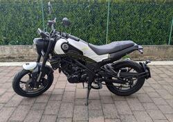 Benelli Leoncino 125 (2022 - 25) usata