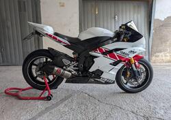 Yamaha YZF R6 (2006 - 07) usata