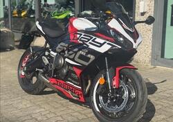 Triumph Daytona 660 (2024 - 25) nuova
