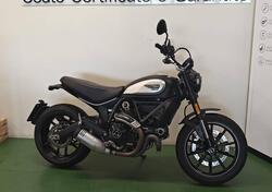 Ducati Scrambler 800 Icon (2021 - 22) usata