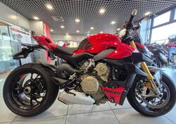 Ducati Streetfighter V4 S (2023 - 24) usata