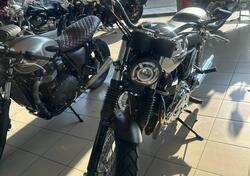 Triumph Bonneville (2007 - 16) usata