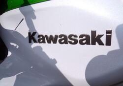 Kawasaki Z 1000 Sugomi Edition ABS (2016) usata
