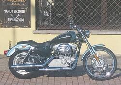 Harley-Davidson 883 Custom (2006 - 07) - XL 883C usata