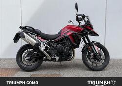 Triumph Tiger 900 GT Pro (2024 - 25) usata