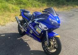 Yamaha YZF R6 (2001 - 02) usata