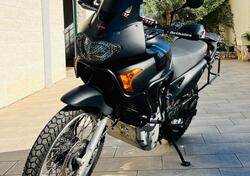 Honda Transalp XL 650V (2000 - 04) usata