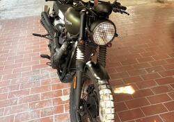 Triumph Street Scrambler 900 (2017 - 18) usata