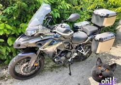 Benelli TRK 502X (2020) usata